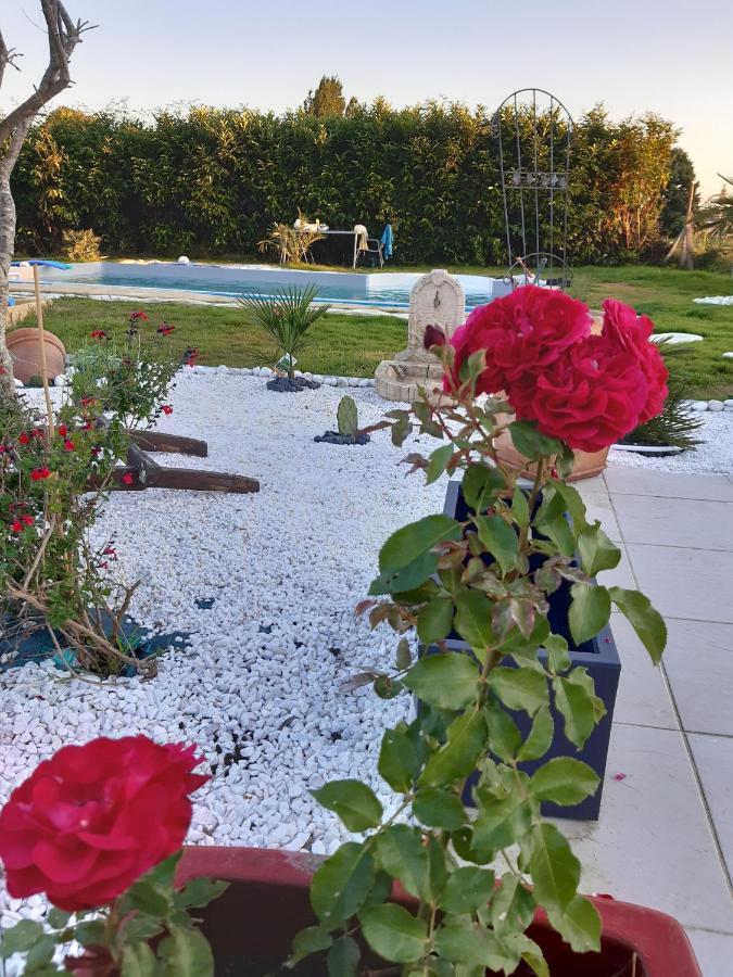 Petit Coin De Detente Seyresse Екстериор снимка
